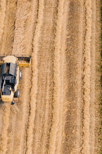 Libero scambio agricolo